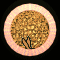 XX052587.gif