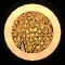 XX052584.gif