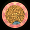 XX052575.gif