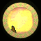XX052513.gif