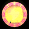 XX052446.gif
