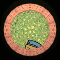 XX052345.gif