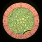 XX052342.gif
