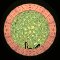 XX052341.gif