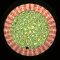 XX052340.gif
