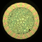 XX052329.gif