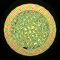 XX052328.gif