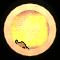 XX052324.gif