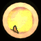 XX052313.gif