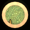 XX052307.gif