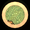 XX052306.gif