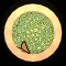 XX052305.gif