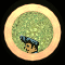 XX052304.gif