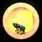XX052302.gif