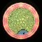 XX052298.gif
