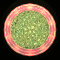XX052297.gif