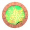 XX053286.gif