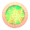 XX053256.gif