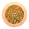 XX053097.gif