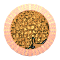 XX053088.gif
