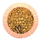 XX053087.gif