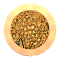 XX053084.gif