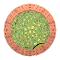 XX052842.gif