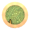 XX052807.gif