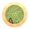 XX052805.gif