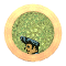 XX052804.gif