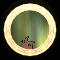 XX053572.gif