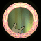 XX053564.gif