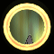 XX053529.gif