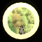 XX053511.gif