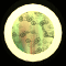 XX053507.gif
