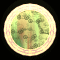 XX053502.gif