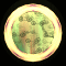 XX053484.gif