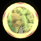 XX053481.gif