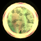 XX053480.gif