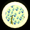 XX053312.gif