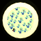 XX053311.gif