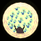 XX053305.gif