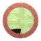 XX051228.gif