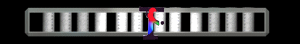 XX056279.gif