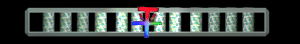 XX056229.gif