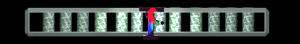 XX056223.gif