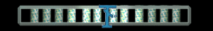 XX056221.gif