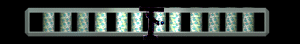 XX056220.gif