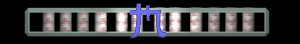 XX056202.gif
