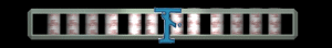 XX056166.gif